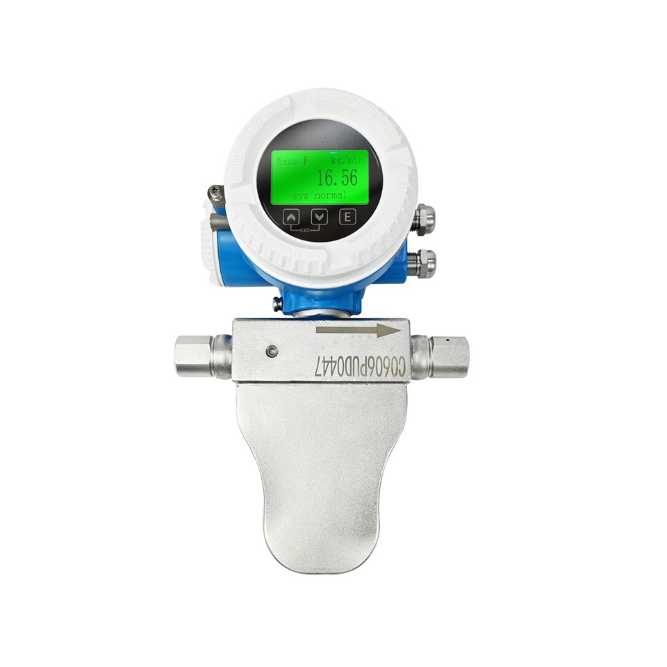 Biogas Mass Flow Meter